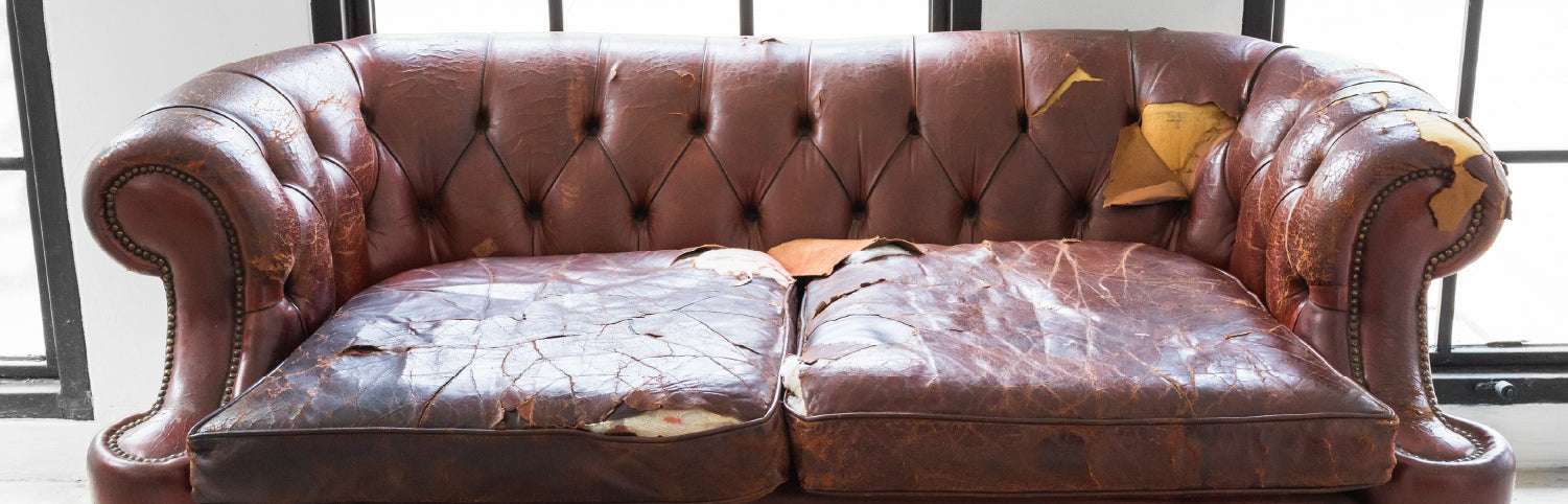 How Often Should You Replace Your Couch? | Bel Blog