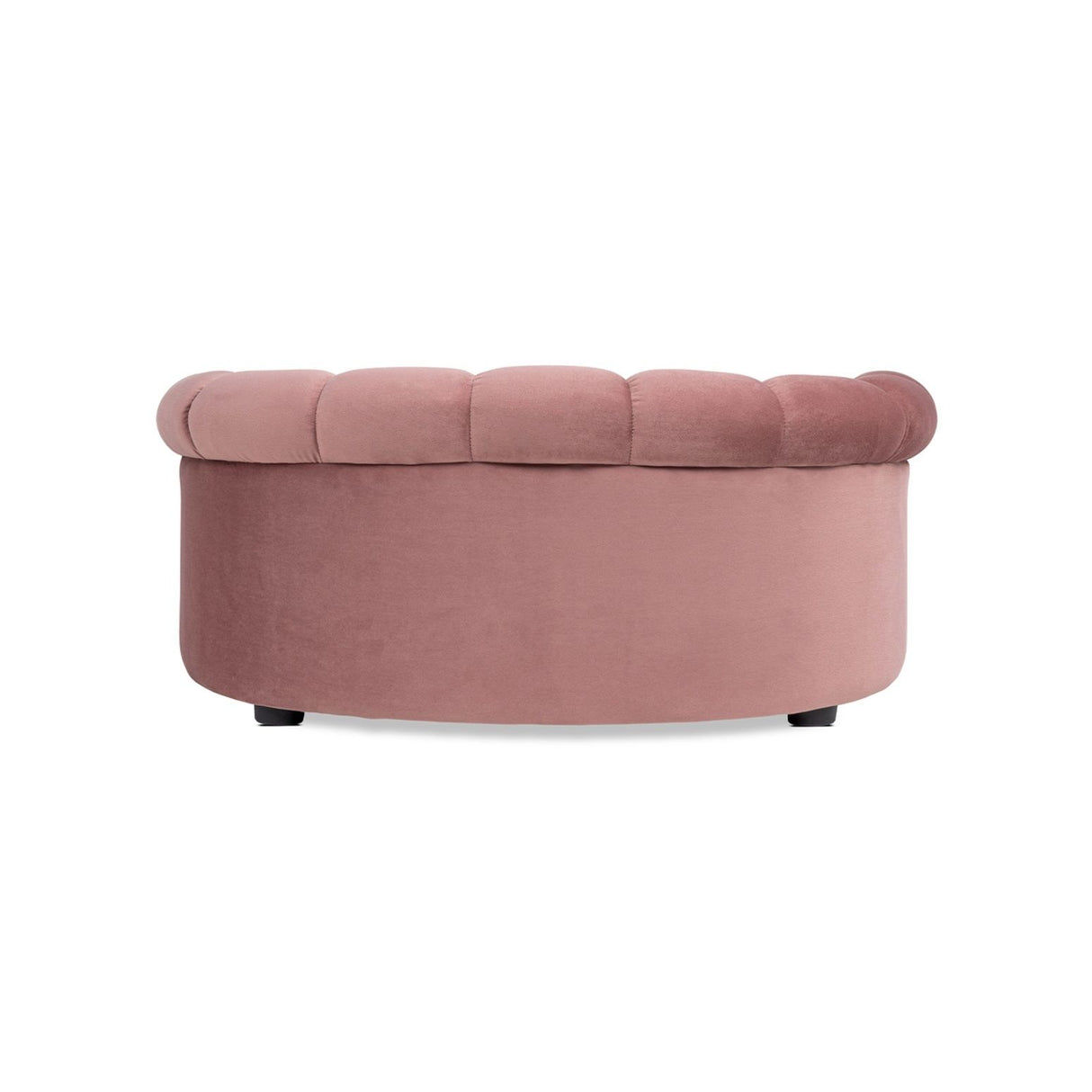 Halle - Rolled Arm Dog Sofa Bed