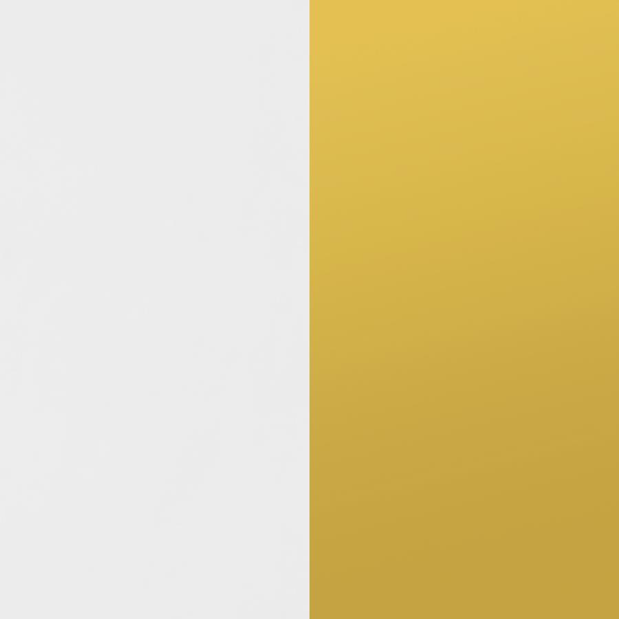 Elsa - 2 Door Wood Storage Accent Cabinet - White And Gold by CoasterEssence | Bel Furniture