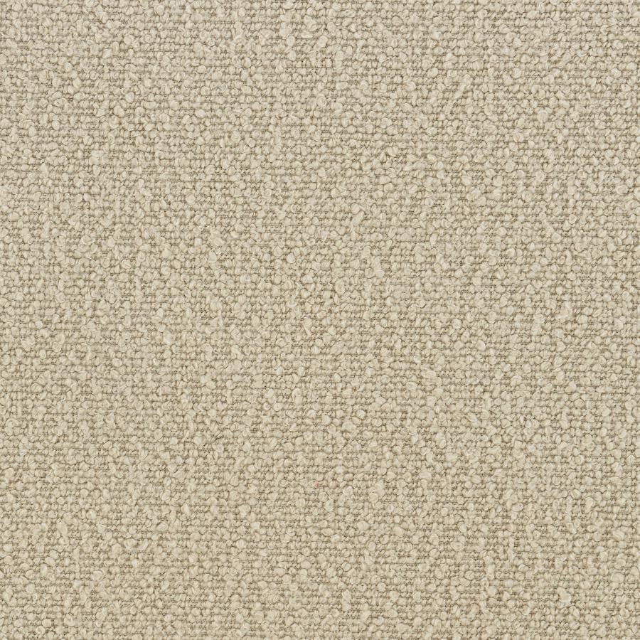 Rayo - Rattan Cane Back Accent Chair With Padded Seat by Coaster Fine Furniture | Bel Furniture