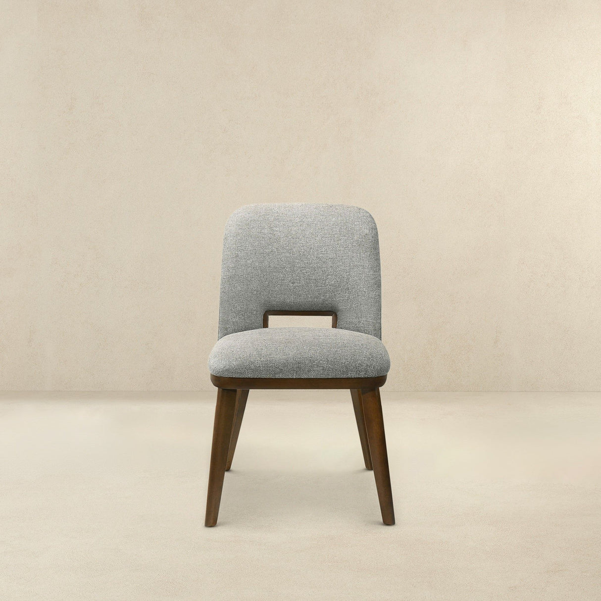 Blake - Modern Dining Chair (Set of 2)