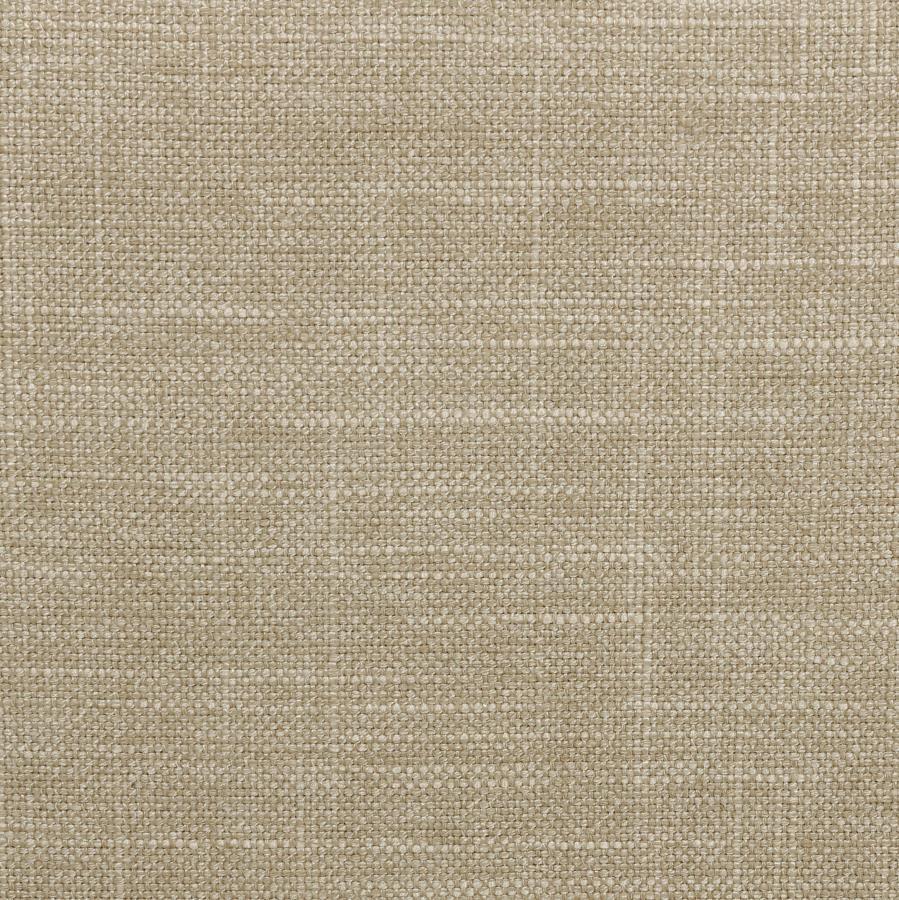 Chloe - Upholstered Panel Bed by CoasterEssence | Bel Furniture