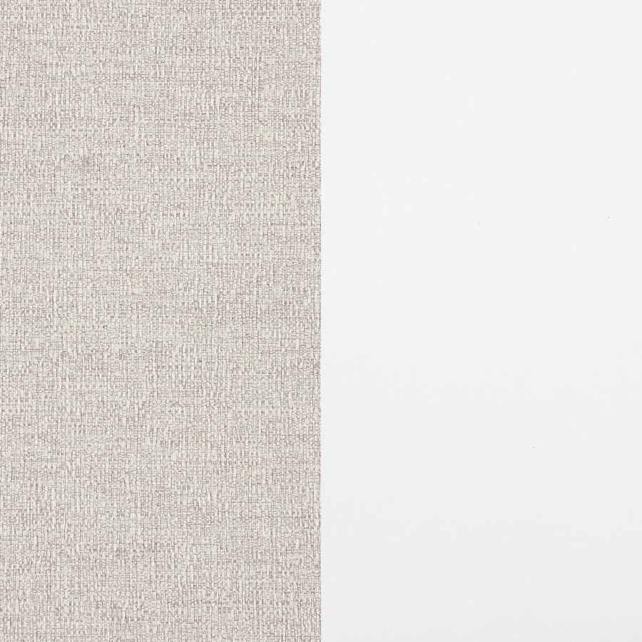 Carissa - Upholstered Dining Side Chair (Set of 2) by Coaster Fine Furniture | Bel Furniture