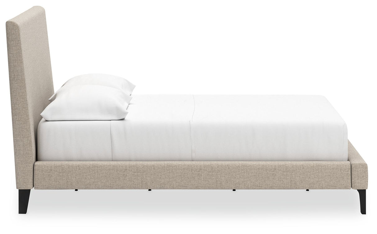 Cielden - Upholstered Bed With Roll Slats by Signature Design by Ashley® | Bel Furniture