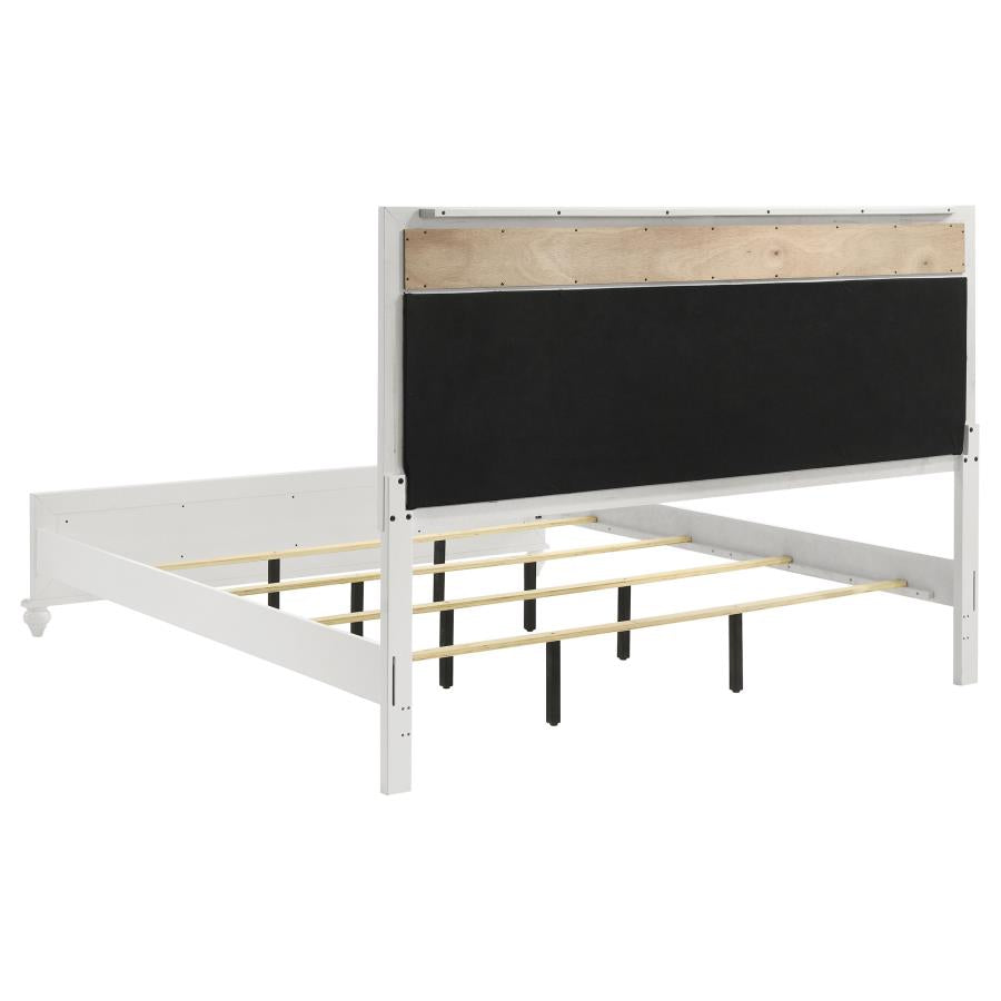 Barzini - Upholstered Panel Bed