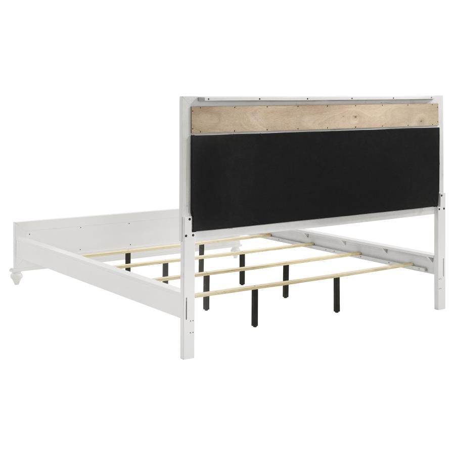 Barzini - Upholstered Panel Bed