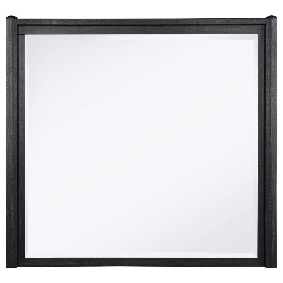 Leandro - Dresser Mirror - Burnished Black