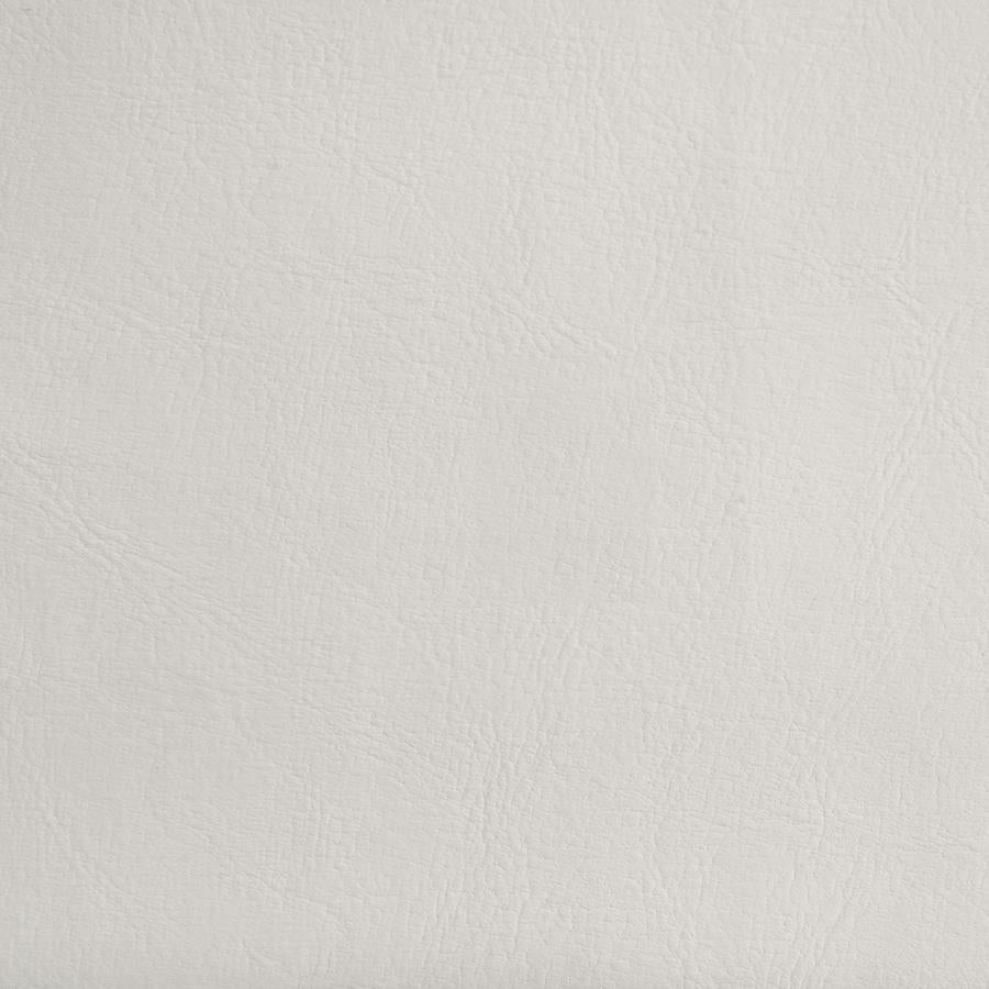 Kendall - Panel Upholstered Bed