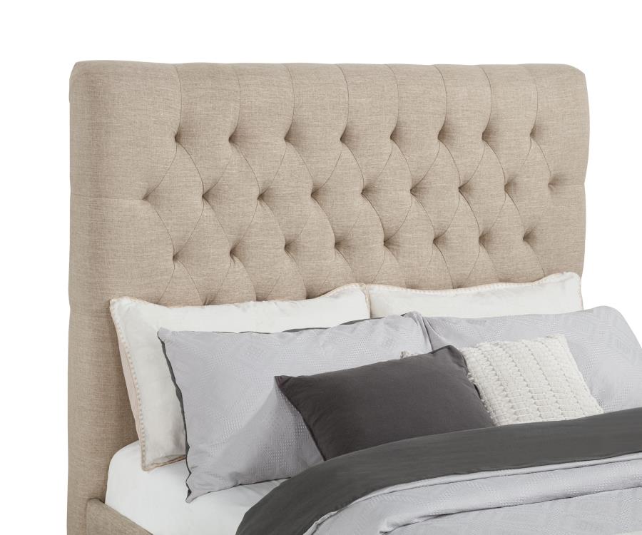 Chloe - Upholstered Panel Bed