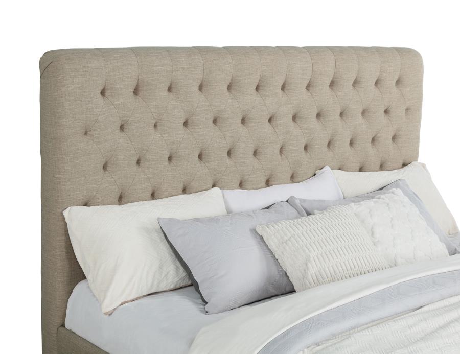 Chloe - Upholstered Panel Bed