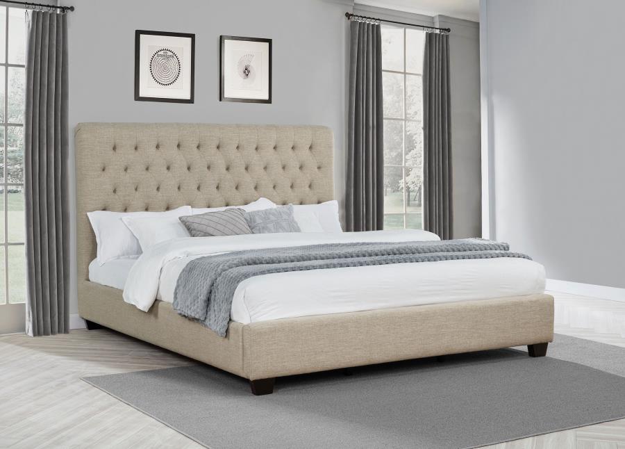Chloe - Upholstered Panel Bed