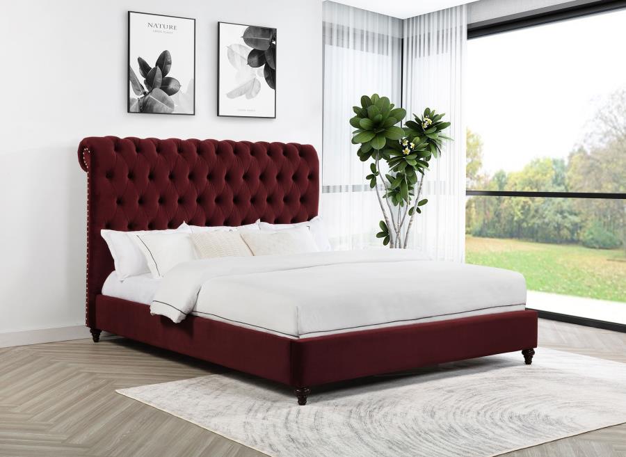 Devon 57-inch Upholstered Panel Bed Wine Red