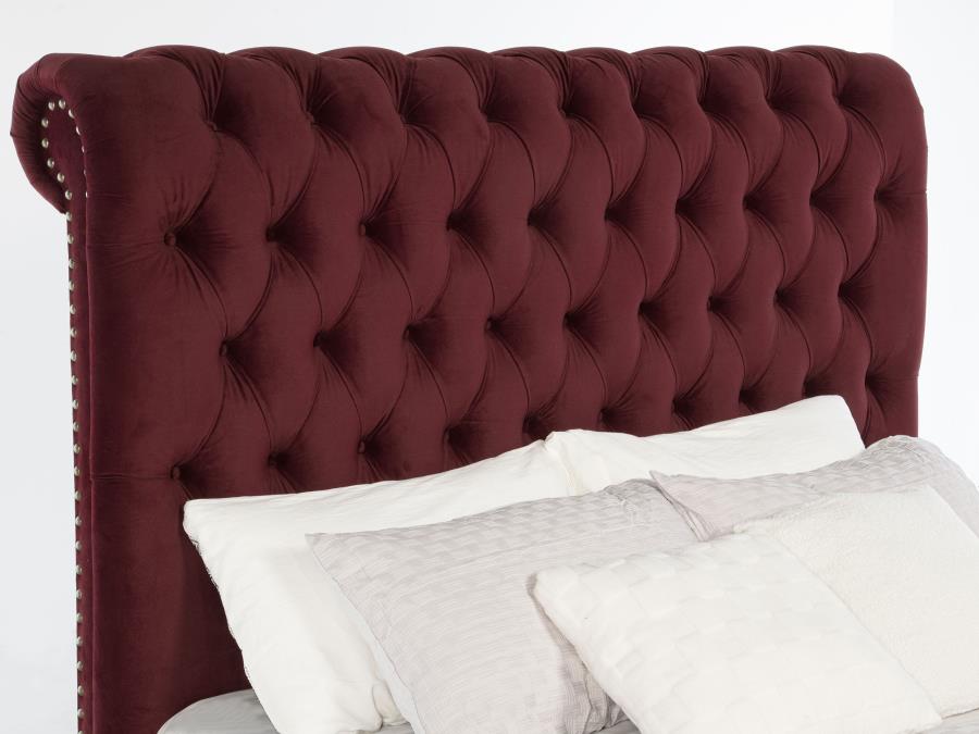 Devon 57-inch Upholstered Panel Bed Wine Red