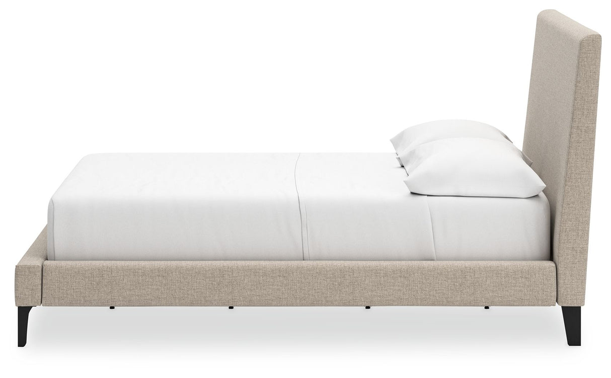 Cielden - Upholstered Bed With Roll Slats by Signature Design by Ashley® | Bel Furniture