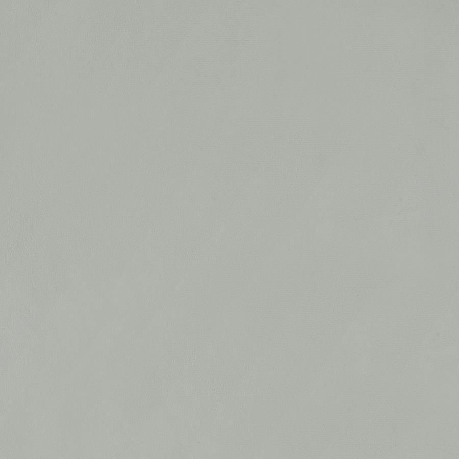 Thermosolis - Clear Acrylic Chair (Set of 2) by CoasterElevations | Bel Furniture