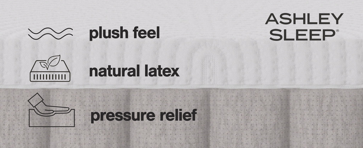 Terra Sleep Soft - Queen Mattress - White