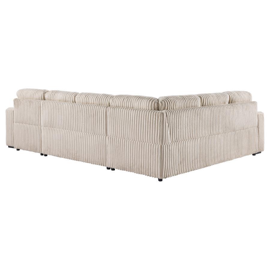Devonshire - Sleeper Sectional Sofa Storage Chaise