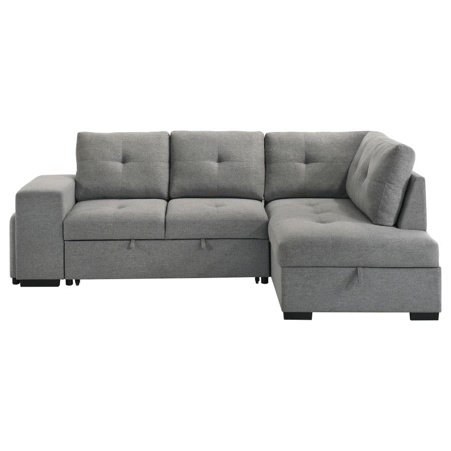 Roanne - Fabric Upholstered Sleeper Sectional Sofa - Gray