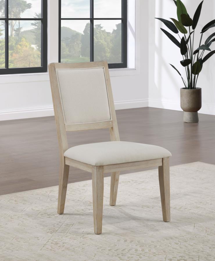 Trofello - Cushioned Dining Side Chair (Set of 2) - White Washed by Coaster Fine Furniture | Bel Furniture