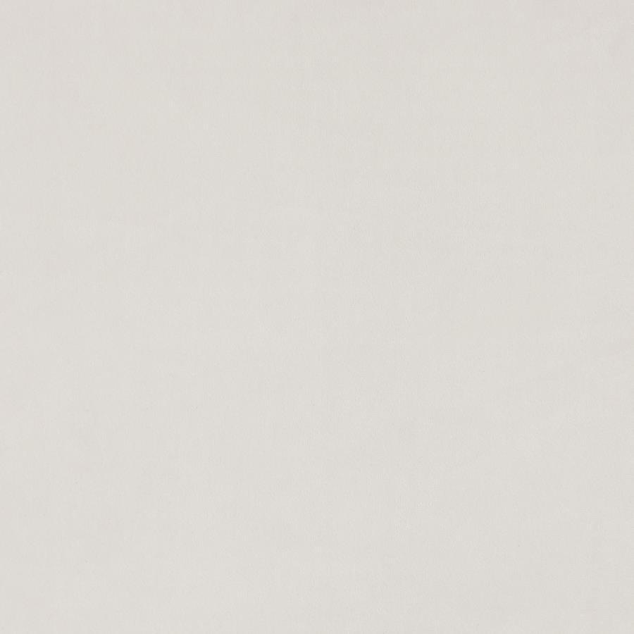 Kirra - Upholstered Metal Arm Accent Chair by Coaster Fine Furniture | Bel Furniture