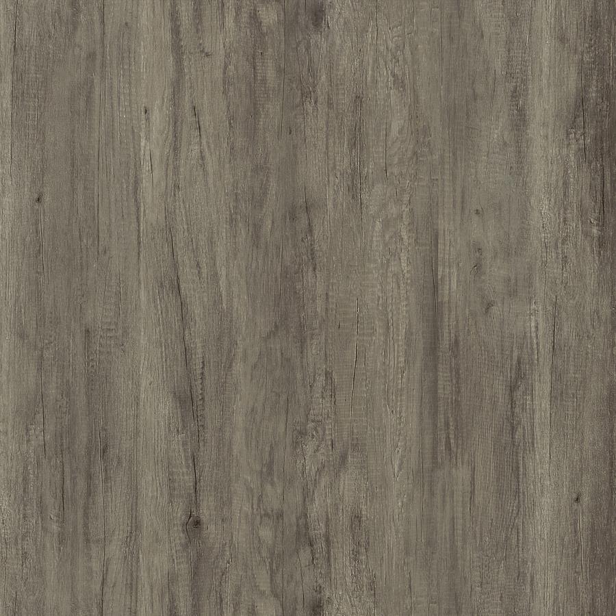 Emelle - 4-Shelf Glass Panel Bookshelf by CoasterEveryday | Bel Furniture