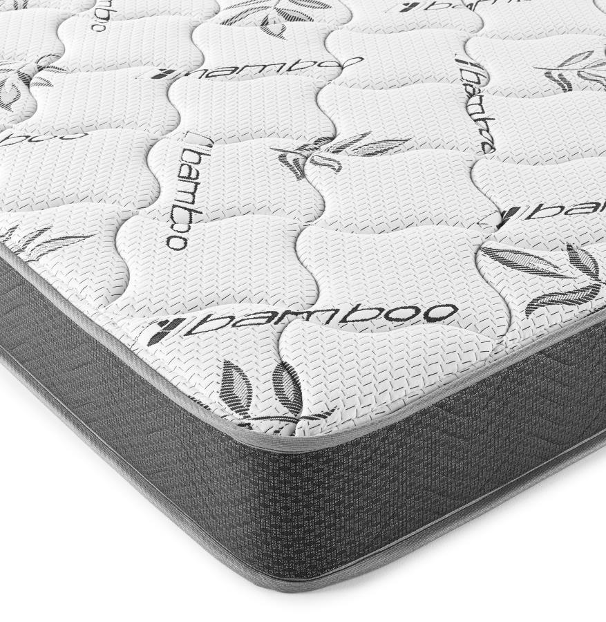 Kenyon - Bamboo Cover Firm Foam Mattress by Coaster Fine Furniture | Bel Furniture