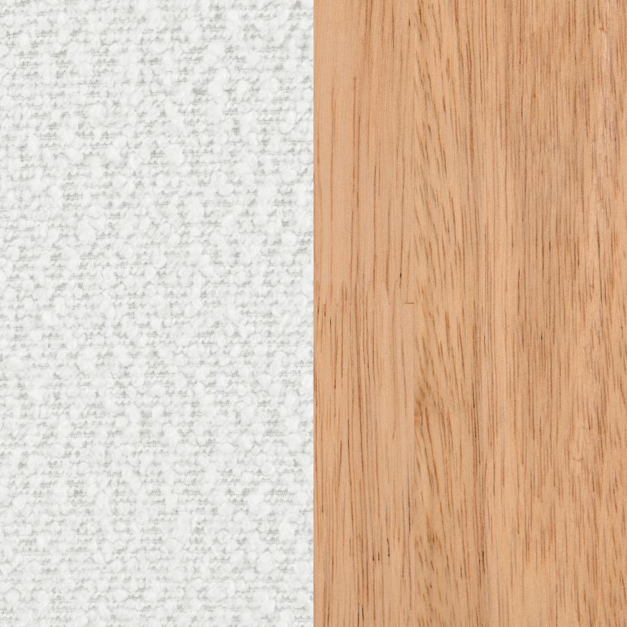 Fitzroy - Boucle Upholstered Accent Arm Chair by Coaster Fine Furniture | Bel Furniture