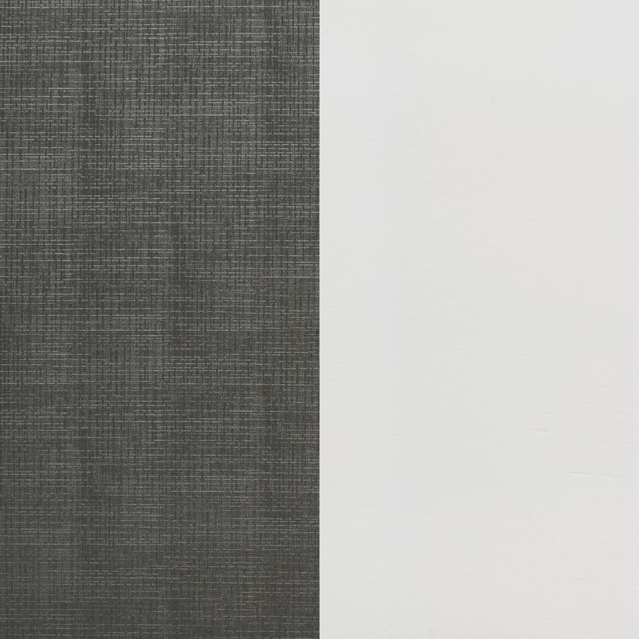 Barzini - Upholstered Panel Bed by CoasterEveryday | Bel Furniture