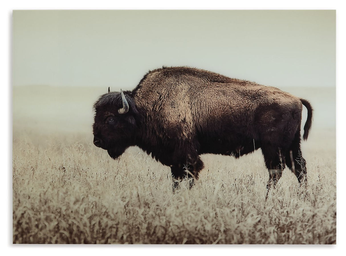 Brutus - Sepia - Wall Art by Signature Design by Ashley® | Bel Furniture