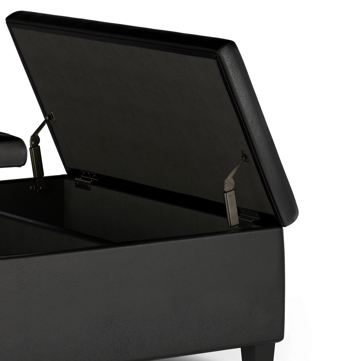 Ellis - Coffee Table Storage Ottoman Contemporary Design