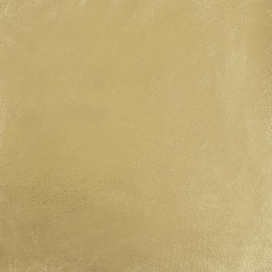 Brookside - 2 Piece Velvet Upholstered Sofa Set - Dark Gray by CoasterEveryday | Bel Furniture