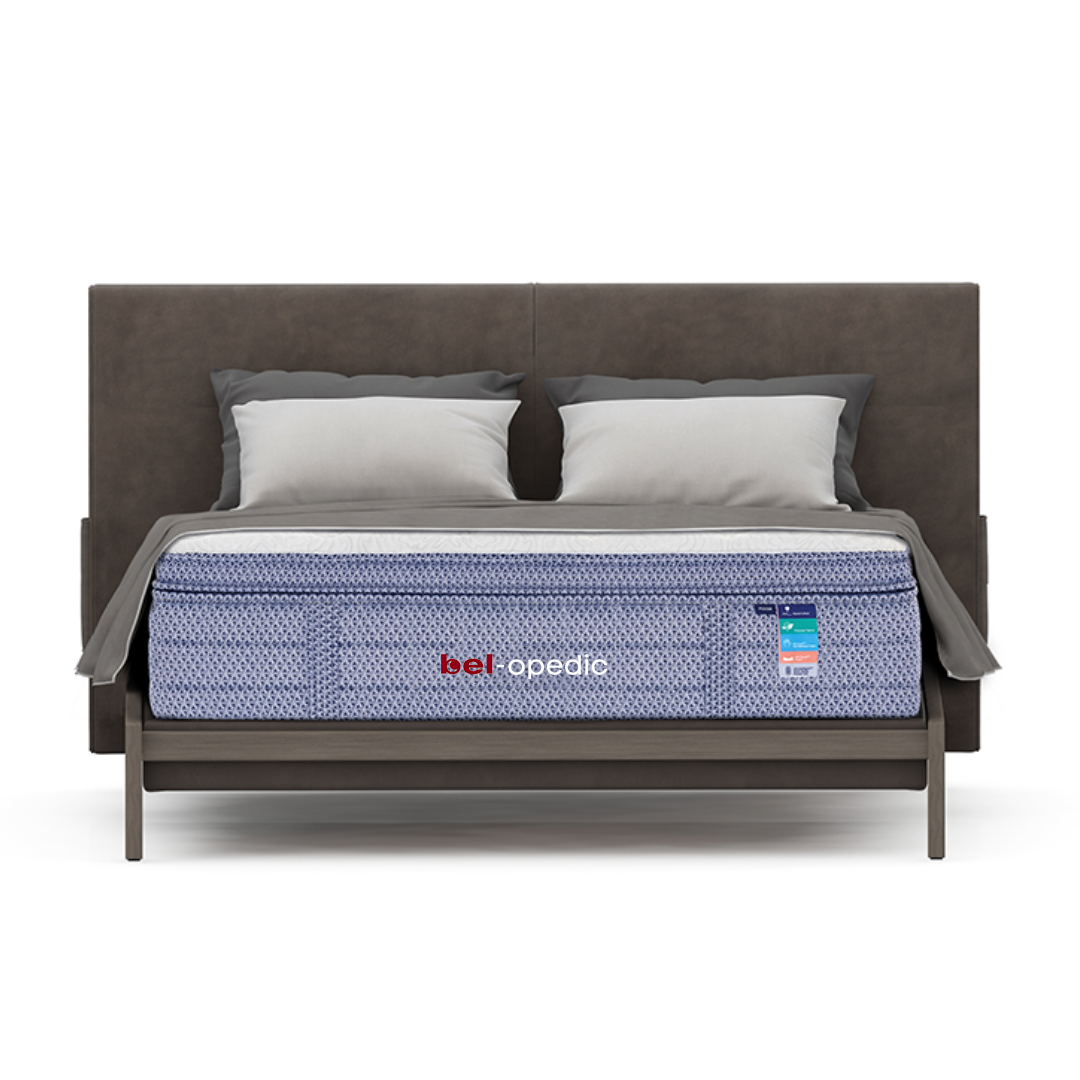 Darlene Box Top 14" Plush Pocket Coil Mattress by bel-opedic | Bel Furniture