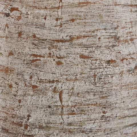 Wellbridge - Distressed White - Vase by Signature Design by Ashley® | Bel Furniture