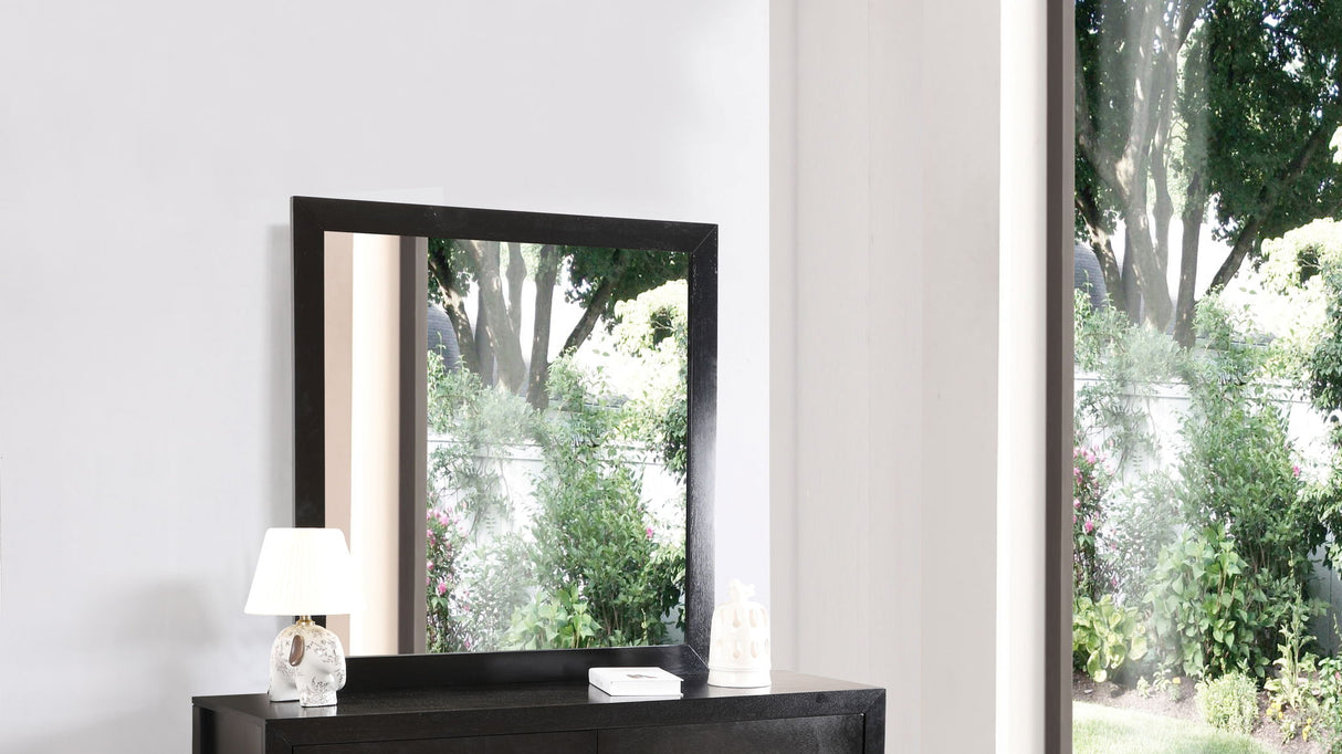 Burlington - Modern Design Transitional Wall Mirror