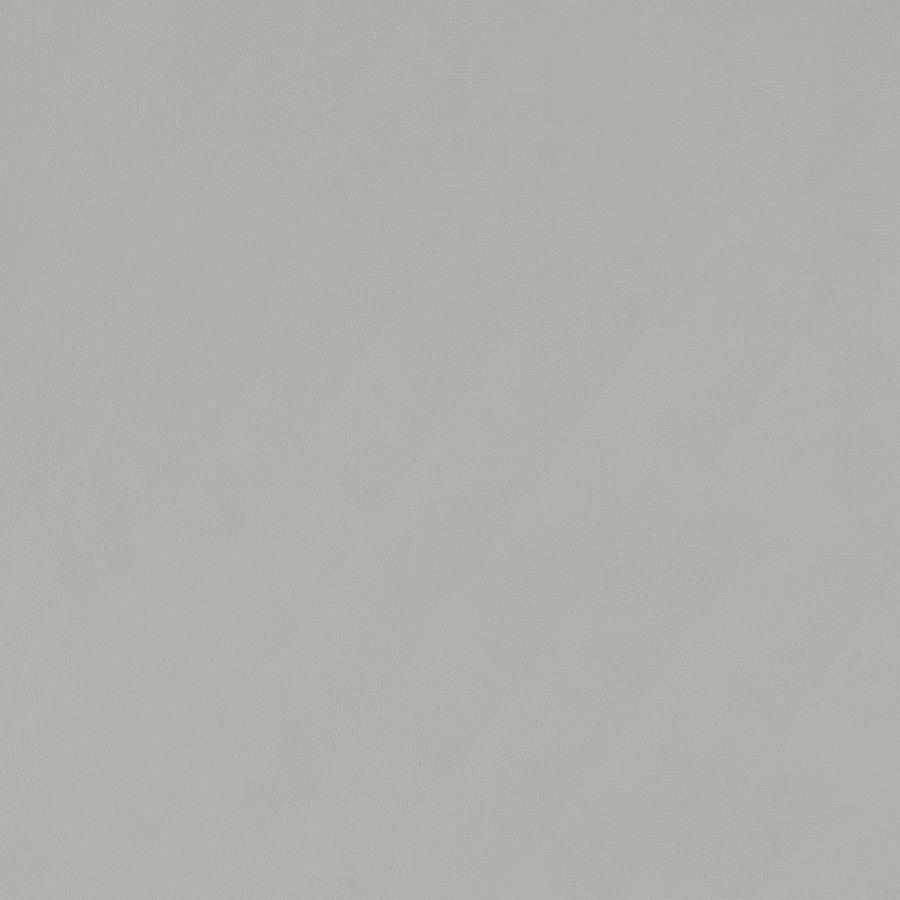 Thermosolis - Clear Acrylic Chair (Set of 2) by CoasterElevations | Bel Furniture