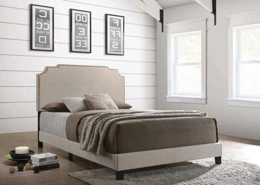 Tamarac - Upholstered Panel Bed by CoasterEveryday | Bel Furniture