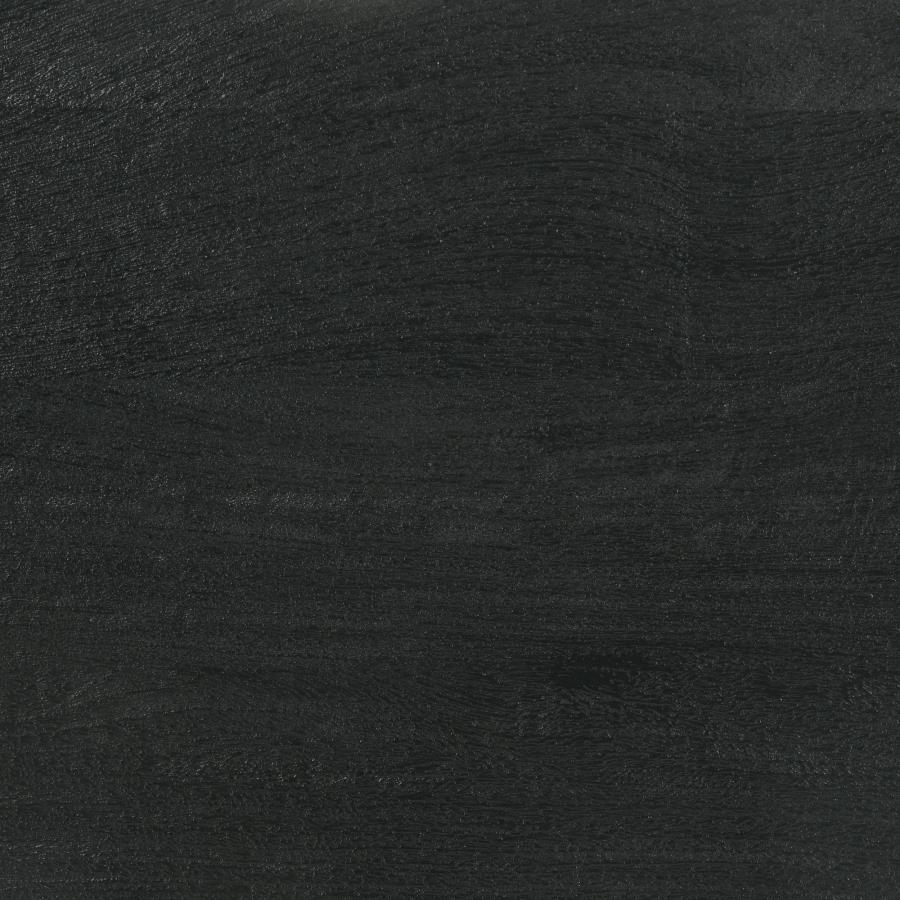 Marsden - 2 Door Mango Wood TV Stand - Charcoal Black by Coaster Fine Furniture | Bel Furniture