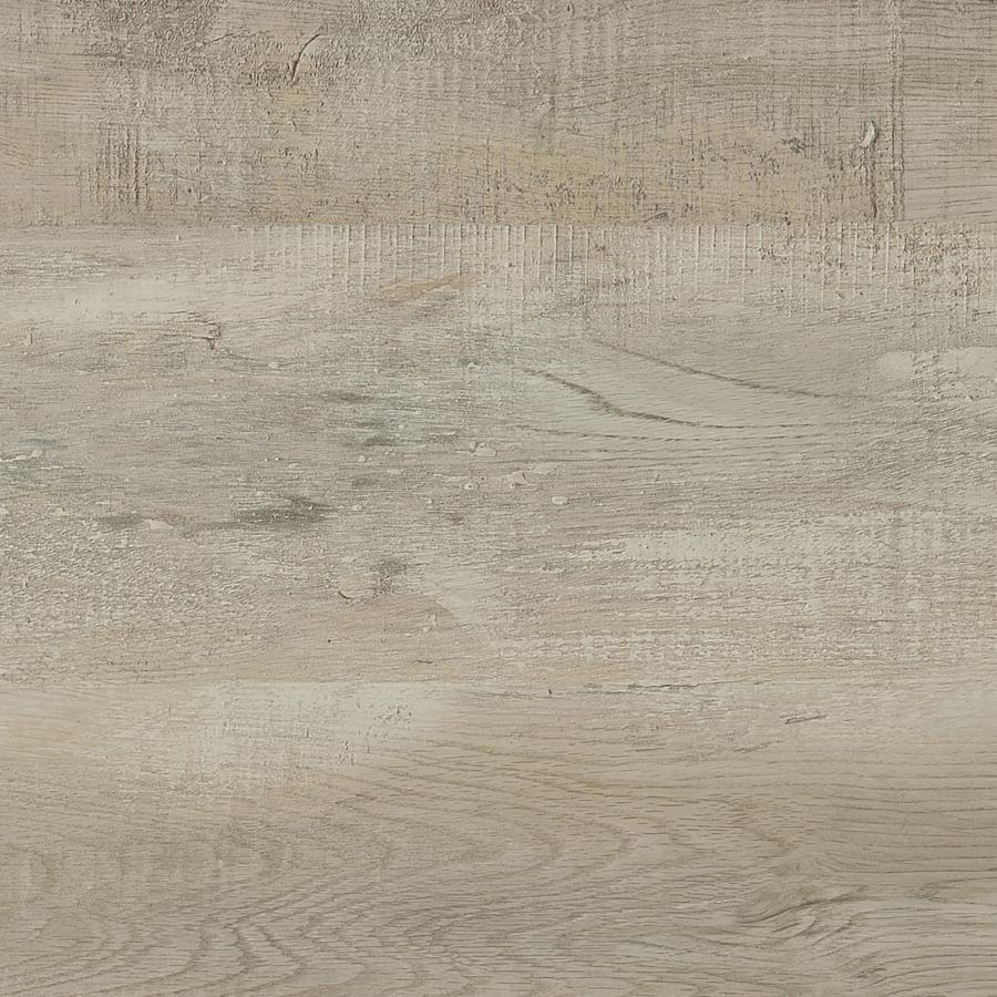 Cadence - Tempered Glass Full Length Mirror by Coaster Fine Furniture | Bel Furniture