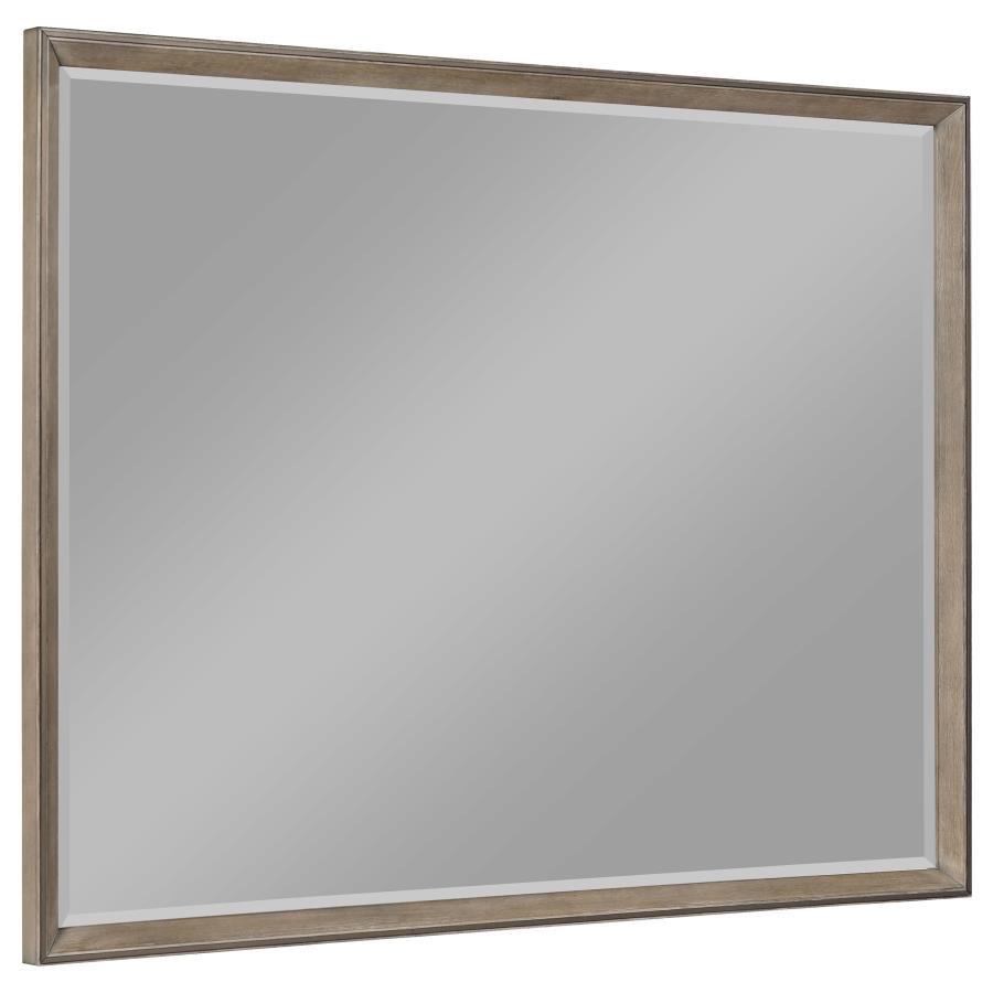 Durango - Dresser Mirror Light Brown by CoasterElevations | Bel Furniture