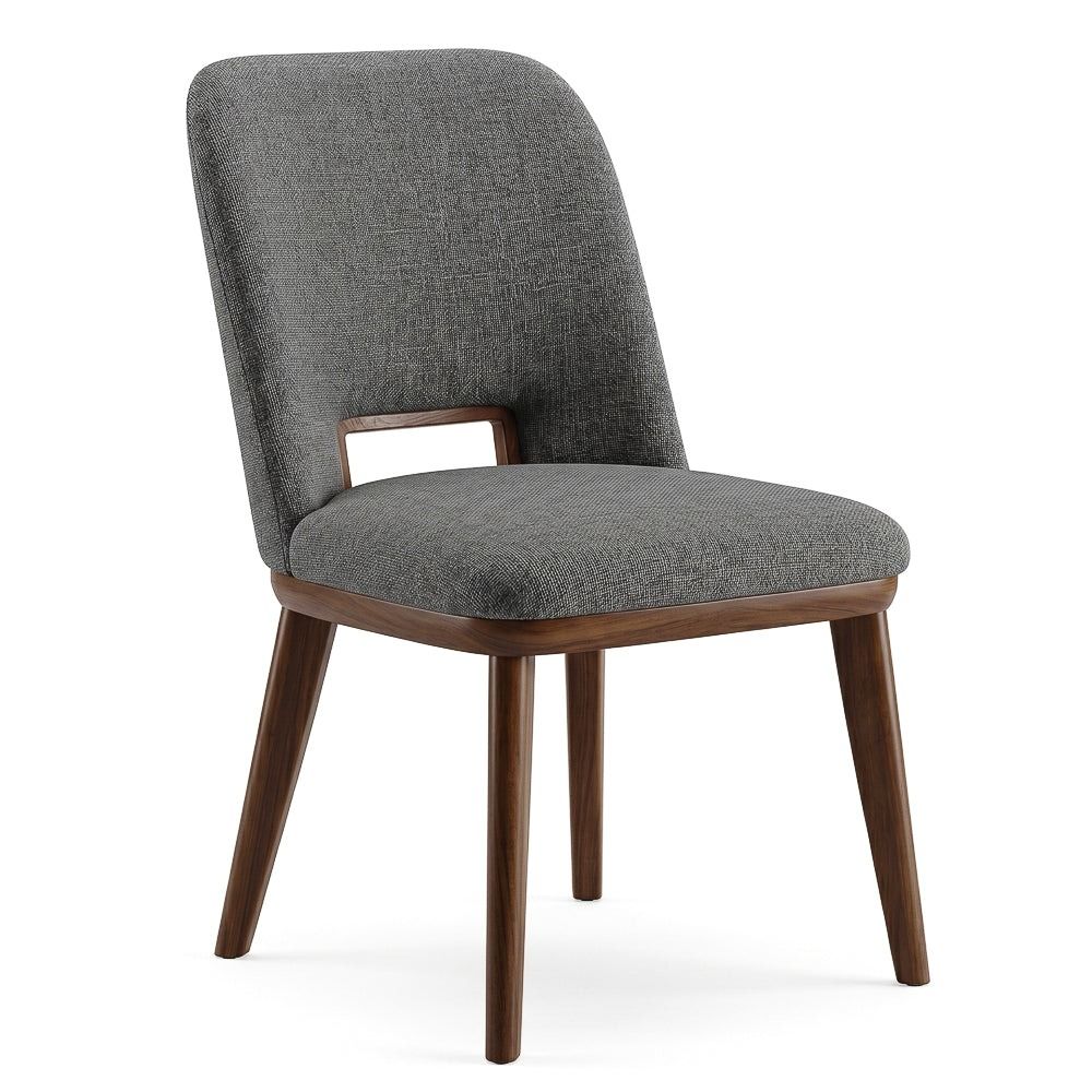 Blake - Modern Dining Chair (Set of 2)