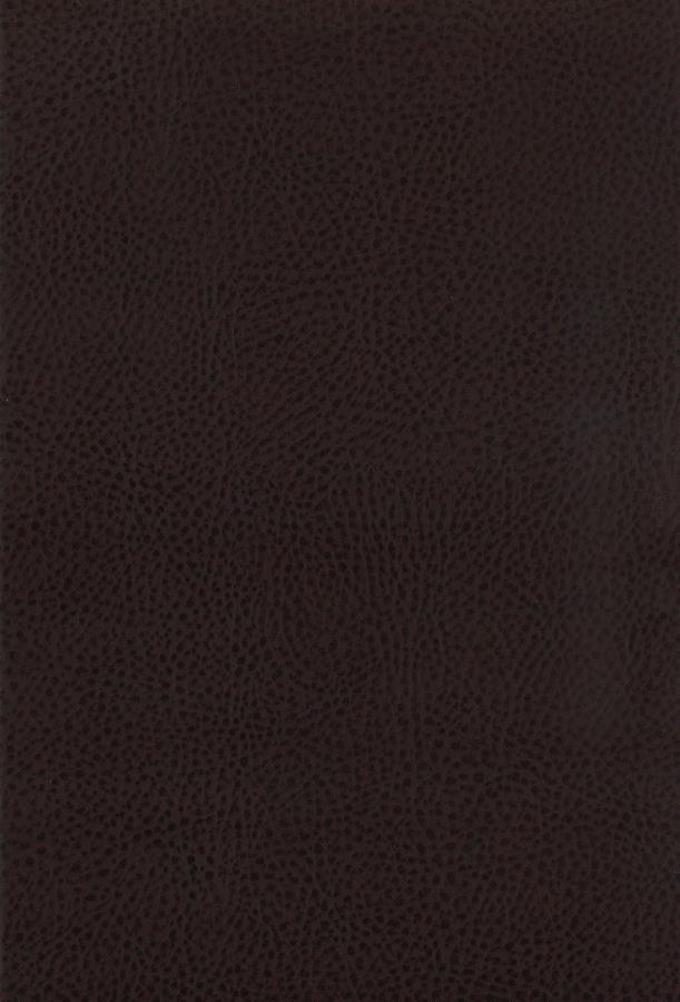 Dewey - Upholstered Counter Chair (Set of 2) - Walnut by CoasterEssence | Bel Furniture