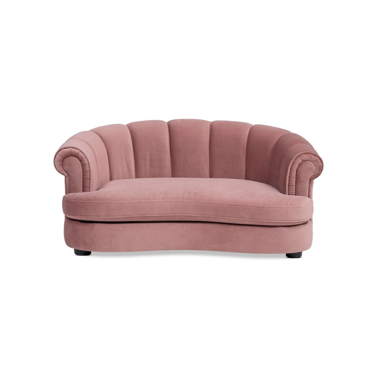 Halle - Rolled Arm Dog Sofa Bed