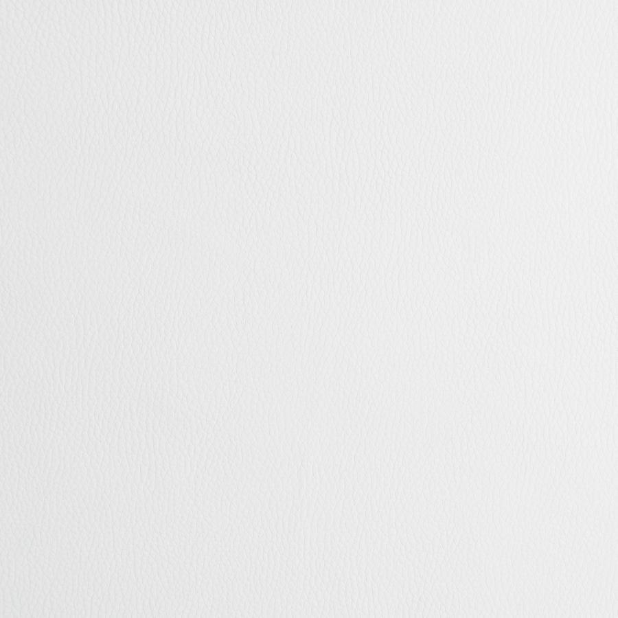 Juniper - Polypropylene Dining Side Chair (Set of 2) by CoasterEveryday | Bel Furniture