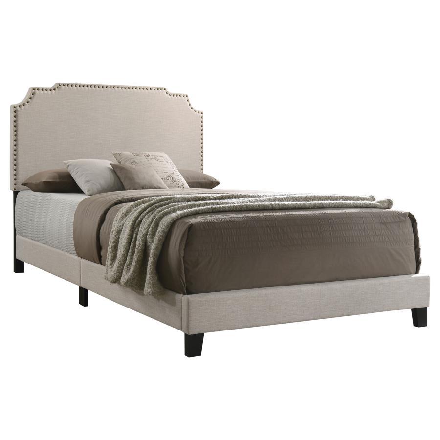Tamarac - Upholstered Panel Bed by CoasterEveryday | Bel Furniture