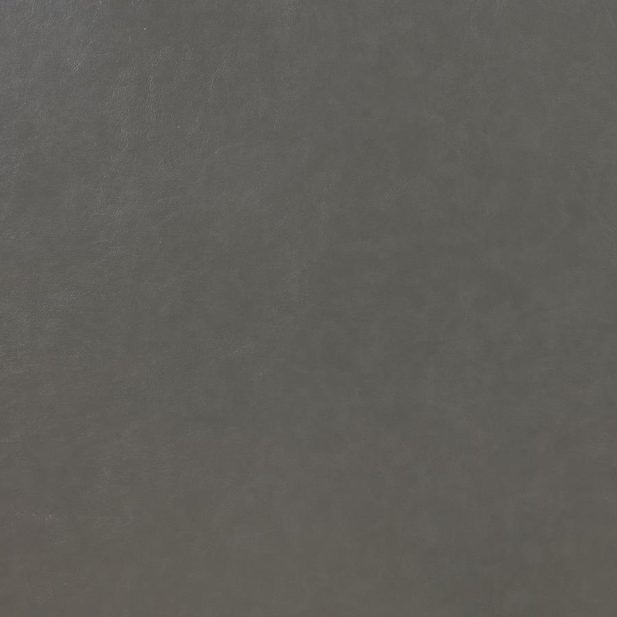 Ruth - Upholstered Track Arm Sofa Set by Coaster Fine Furniture | Bel Furniture