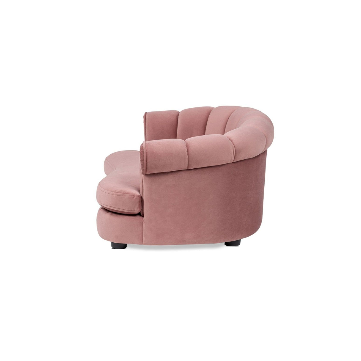 Halle - Rolled Arm Dog Sofa Bed