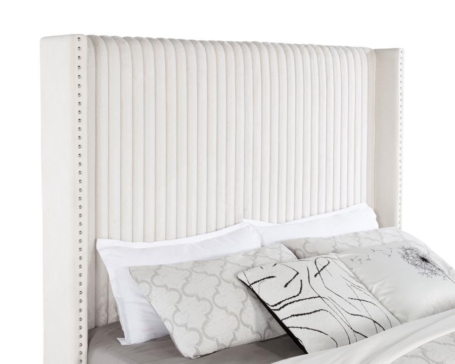 Natasha - Upholstered Bed by Coaster Fine Furniture | Bel Furniture