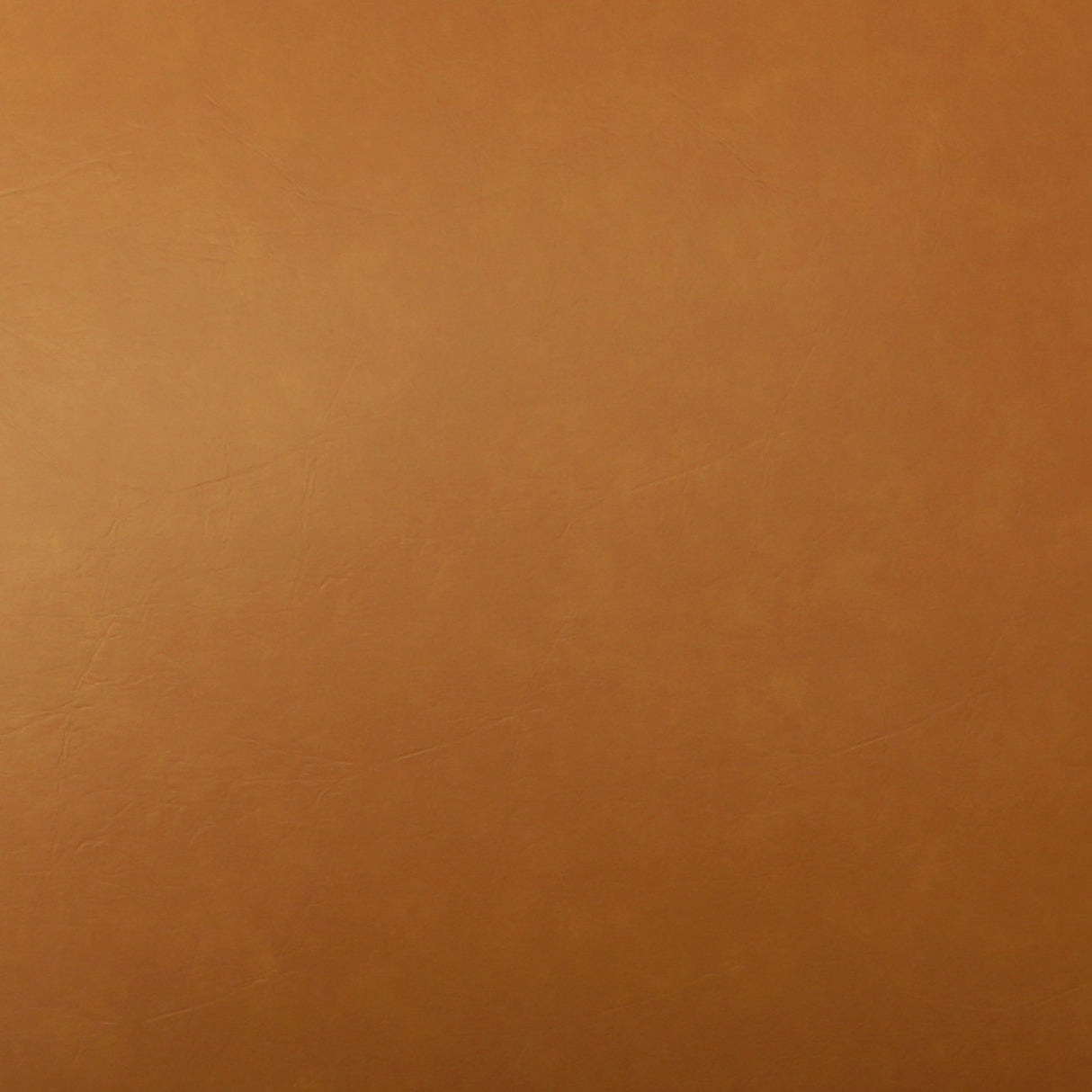 Callan - Swivel Chair - Tan by Ashcroft Furniture | Bel Furniture