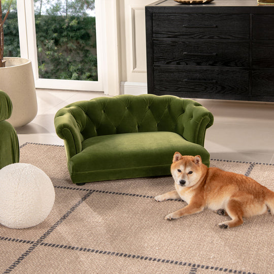 Kiki - Chesterfield Dog Sofa Bed Medium by Jennifer Taylor Home | Bel Furniture