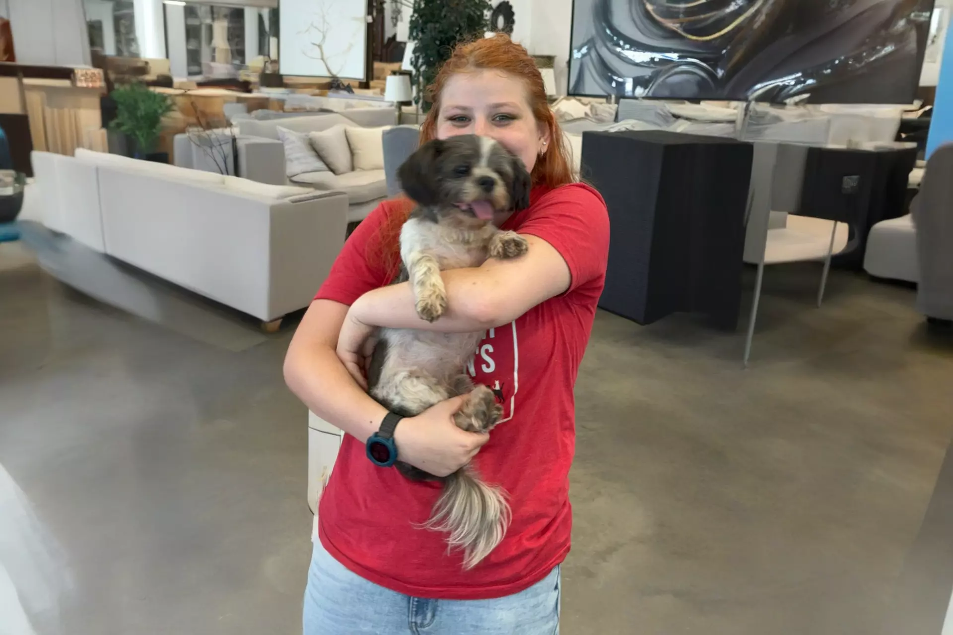 Bel Furniture's Heartwarming Pet Adoption Event, May 2024